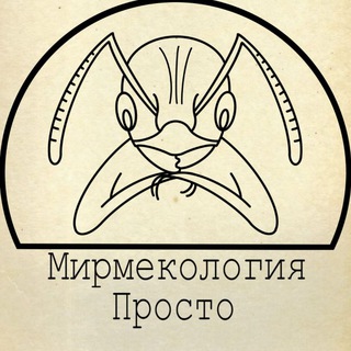 Логотип @myrmecologia_prosto - Мирмекология– Просто