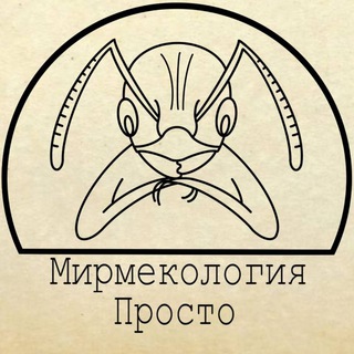 Логотип @myrmecologia_prosto_chat - Мирмекология– Просто | Образовательный центр