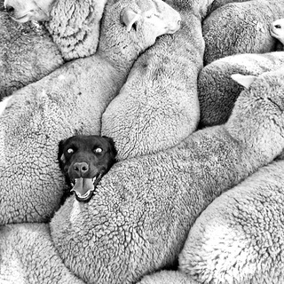 Логотип @myrnaoborot - ⎈ Мир наоборот ®.