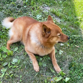 Логотип @myselfishnotes - Мои заметки (И Влад)