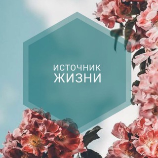 Логотип @mysourcelife - Источник Жизни🌟