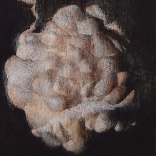 Логотип @mysterious_easel - mysterious disco potato