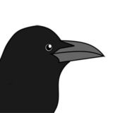 Записки коллекционера