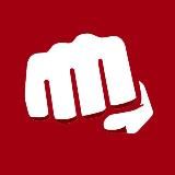 Логотип @mysterychtoto - MysteryForce