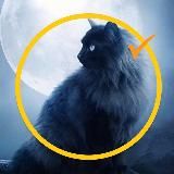 Логотип @mysticism_real_stories - Мистика. Реальные истории.