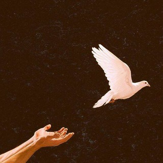 Логотип @mysunshinnne - mysunshinnne