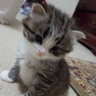 Логотип @myt1redness - моя усталость