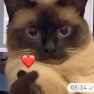 Логотип @myteplochat - Тёплый чат 🧡🤞🏼