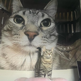 Логотип @mytrashbin - мій смітник 🇺🇦