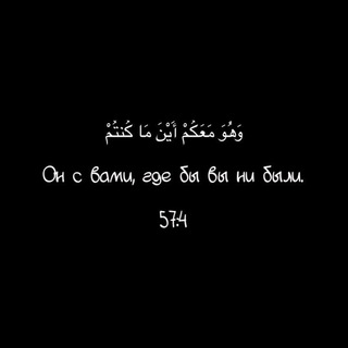 Логотип @myvvahid - myvvahid