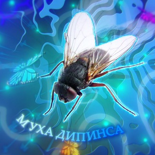 Логотип @myxa_deepinsa - муха дипинса ☠