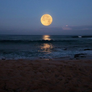 Логотип @myyouth17 - 4:59🔒