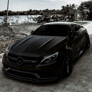 Логотип @myzlotop123official - Myzlotop123oficial ✓