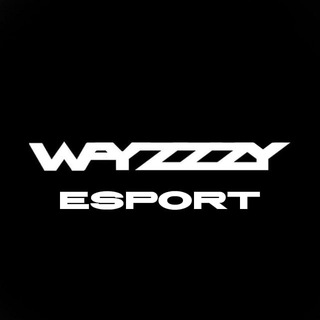 Логотип @n1ekro_9 - Wayzyyy ESport