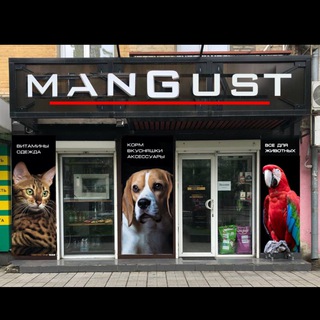 Логотип @n31rkowt_cjjzjzi - Зоомагазин Мангуст Мелитополь