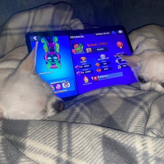 Логотип @n4erteam - Картель N4eR’a