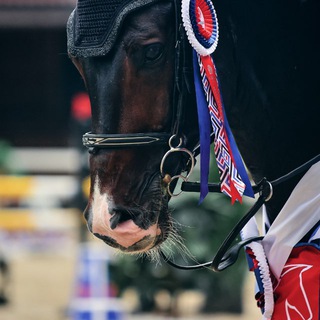 Логотип @n_alekseeva - Фотограф Наталья Алексеева 📸