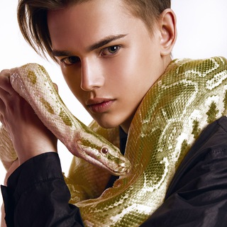 Логотип @n_turchin_tg - ТУРЧИН