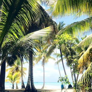 Логотип @na4eky_rovno - Инвестиции Начеку канал