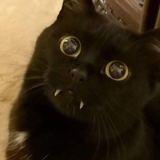 Логотип @na4erduck - Чердак