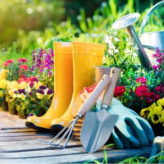 Логотип @na_nashei_dache - НА НАШЕЙ ДАЧЕ!