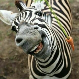 Логотип @na_pozitiven1 - 💥ПоЗиТиВчиК💥