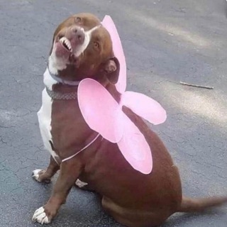 Логотип @na_zlobu_dna - НА ЗЛОБУ ДНА 😈