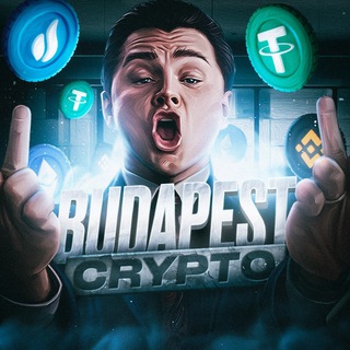 Логотип @nababkah_1 - Budapest CryptoMercury