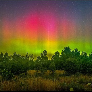 Логотип @nachrichten_alcyonplejaden - Alcyon Pleyaden Nachrichten / Favoriten