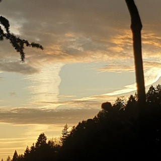 Логотип @nachteulenspirit - 🍁🕉Spirituelle🕉🍂 🏔Ebene⛰ Das Licht im Inneren führt dich zur Liebe, lass uns Leben