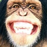 Логотип @nackenschlach - Schlach in Nacken