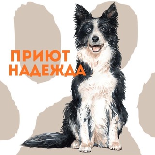 Логотип @nadejdakarelia - Приют Надежда )