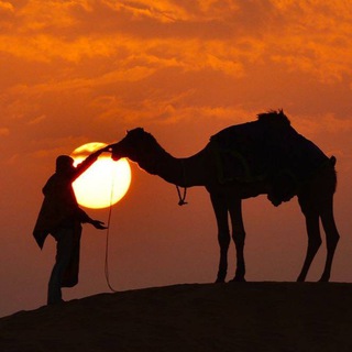 Логотип @nadeuss - все по душе 🫀