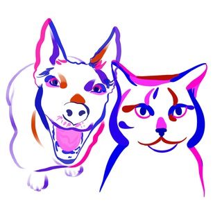 Логотип @nado_bratb - Надо брать!