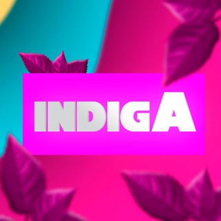 Логотип @nadyaindiga - IndigA