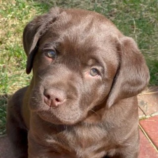 Логотип @nadyaohboy - ✸ 𝔫𝔞𝔯𝔠𝔶 ✸ living the dream