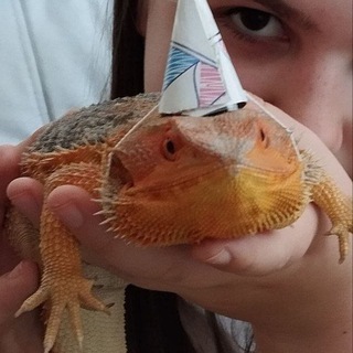 Логотип @nagaiiyu - Жизнь Наги🦎