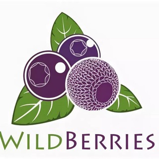 Логотип @nahodkiwildberriesozon - 💜 Находки и скидки Wildberries/OZON 💜💜💜