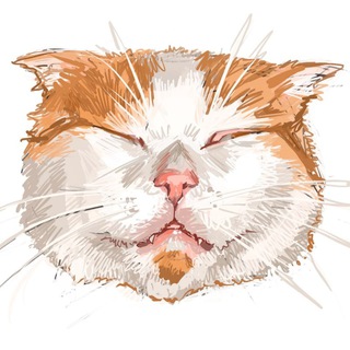 Логотип @nahoyid - нахойдд