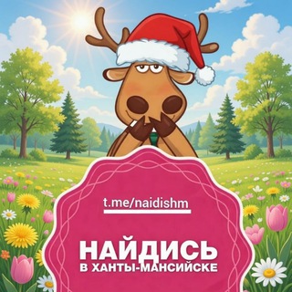 Логотип @naidishm - Найдись в Ханты-Мансийске