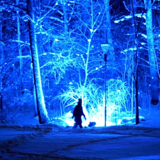 Логотип @nainen - Финляндия изнутри. Личный опыт финской жены .