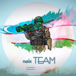 Логотип @naix_team - naix team