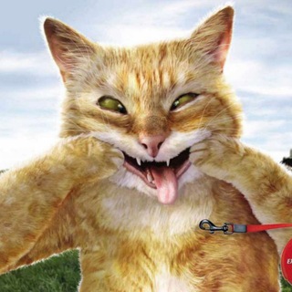 Логотип @najim_group - NaJiM GrOuP✊