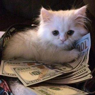 Логотип @najitiememes - честно нажитые мемы