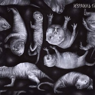 Логотип @nakedmoleratchat - Голый землекоп Chat