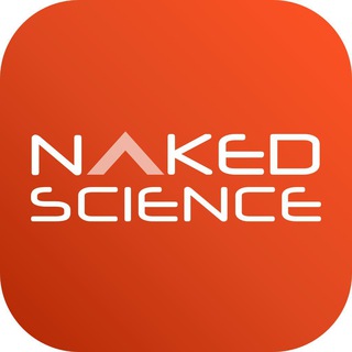 Логотип @nakedscience - Naked Science – все новости