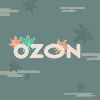 Логотип @nakhodki_ozon_skidki - НАХОДКИ ОЗОН OZON ВАЛБЕРИС ВБ