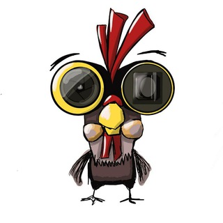 Логотип @nakokoi - НАКОКОЙ объектив снято?