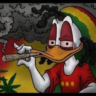 Логотип @nakrilochat - Накрыло, бро! Chat