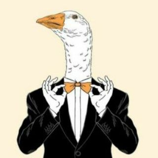 Логотип @nalogovygus - Налоговый Гусь 💼